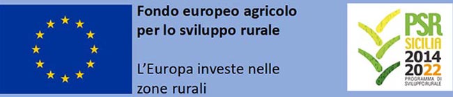 Fondo europeo agricolo per lo sviluppo rurale